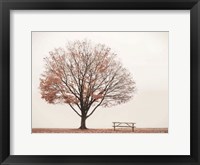 Barely There Fine Art Print