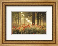 The Poppy Forest Fine Art Print
