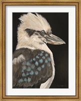 Kookaburra Fine Art Print