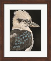 Kookaburra Fine Art Print