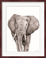 Safari Elephant Peek-a-boo Fine Art Print