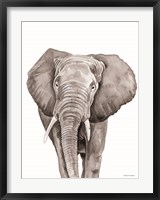 Safari Elephant Peek-a-boo Fine Art Print
