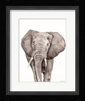 Safari Elephant Peek-a-boo Framed Print