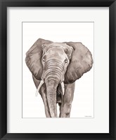 Safari Elephant Peek-a-boo Framed Print