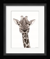 Safari Giraffe Peek-a-boo Framed Print