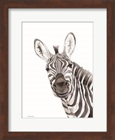 Safari Zebra Peek-a-boo Fine Art Print