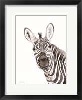 Safari Zebra Peek-a-boo Fine Art Print