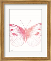 Pink Butterfly III Fine Art Print