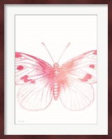 Pink Butterfly III Fine Art Print