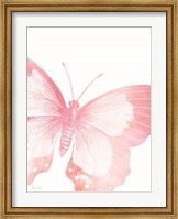 Pink Butterfly V Fine Art Print