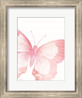 Pink Butterfly V Fine Art Print