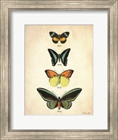 Butterflies 2 Fine Art Print