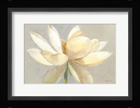 Unfolding Light Fine Art Print
