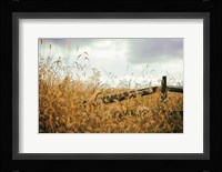 Fencerow Fine Art Print