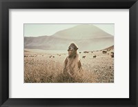 Desert Camel Fine Art Print