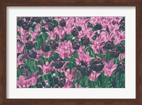 Tulip Botanical Fine Art Print