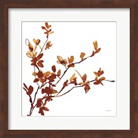 Colors of the Fall IX Fine Art Print