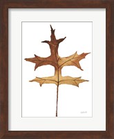 Colors of the Fall I Brown Fine Art Print
