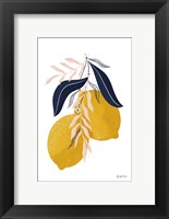 Lemons II No Wedge Fine Art Print