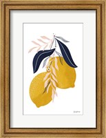 Lemons II No Wedge Fine Art Print