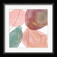 Petal Passion XII Framed Print