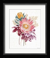 Petal Passion VI Framed Print