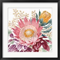 Petal Passion VIII Framed Print