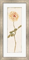 Pale Rose Panel Light Fine Art Print
