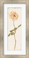Pale Rose Panel Light Fine Art Print