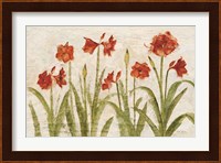 Row of Red Amaryllis Light Fine Art Print