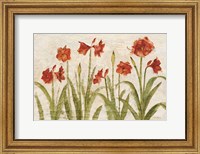 Row of Red Amaryllis Light Fine Art Print
