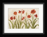 Row of Red Amaryllis Light Fine Art Print