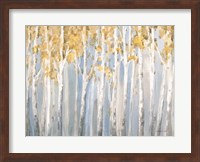 Golden Birches Fine Art Print