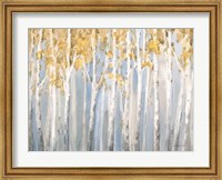 Golden Birches Fine Art Print