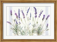 Floursack Lavender V Fine Art Print
