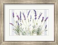 Floursack Lavender V Fine Art Print