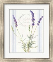 Floursack Lavender IV Fine Art Print