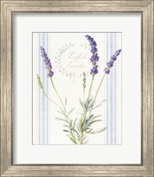 Floursack Lavender IV Fine Art Print