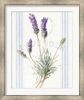 Floursack Lavender III Fine Art Print