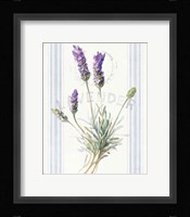 Floursack Lavender III Framed Print