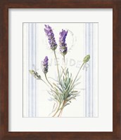 Floursack Lavender III Fine Art Print