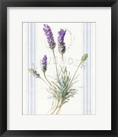 Floursack Lavender III Framed Print