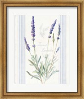 Floursack Lavender I Fine Art Print