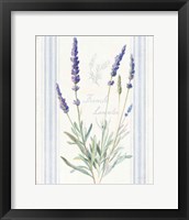 Floursack Lavender I Framed Print
