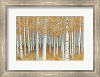 Forest of Gold Fine Art Print