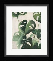Tropical Study IV Framed Print