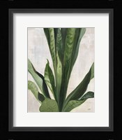 Tropical Study III Framed Print