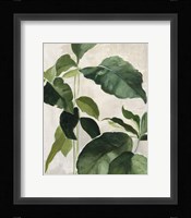 Tropical Study II Framed Print