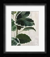 Tropical Study I Framed Print