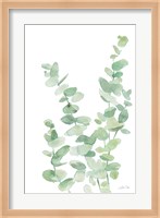 Eucalyptus II Fine Art Print